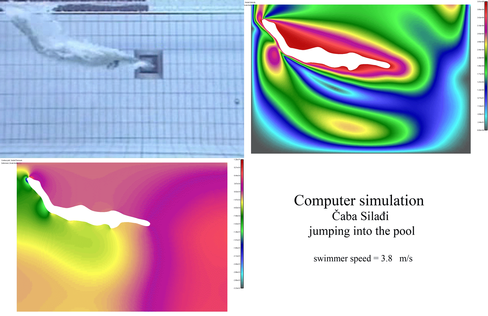 Computer simulation Caba Siladji